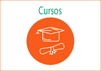 Cursos